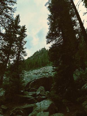 Landscape I took in Yellowstone